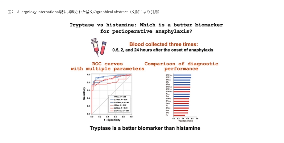 図2　Allergology international誌に掲載された論文のgraphical abstract（文献11より引用）